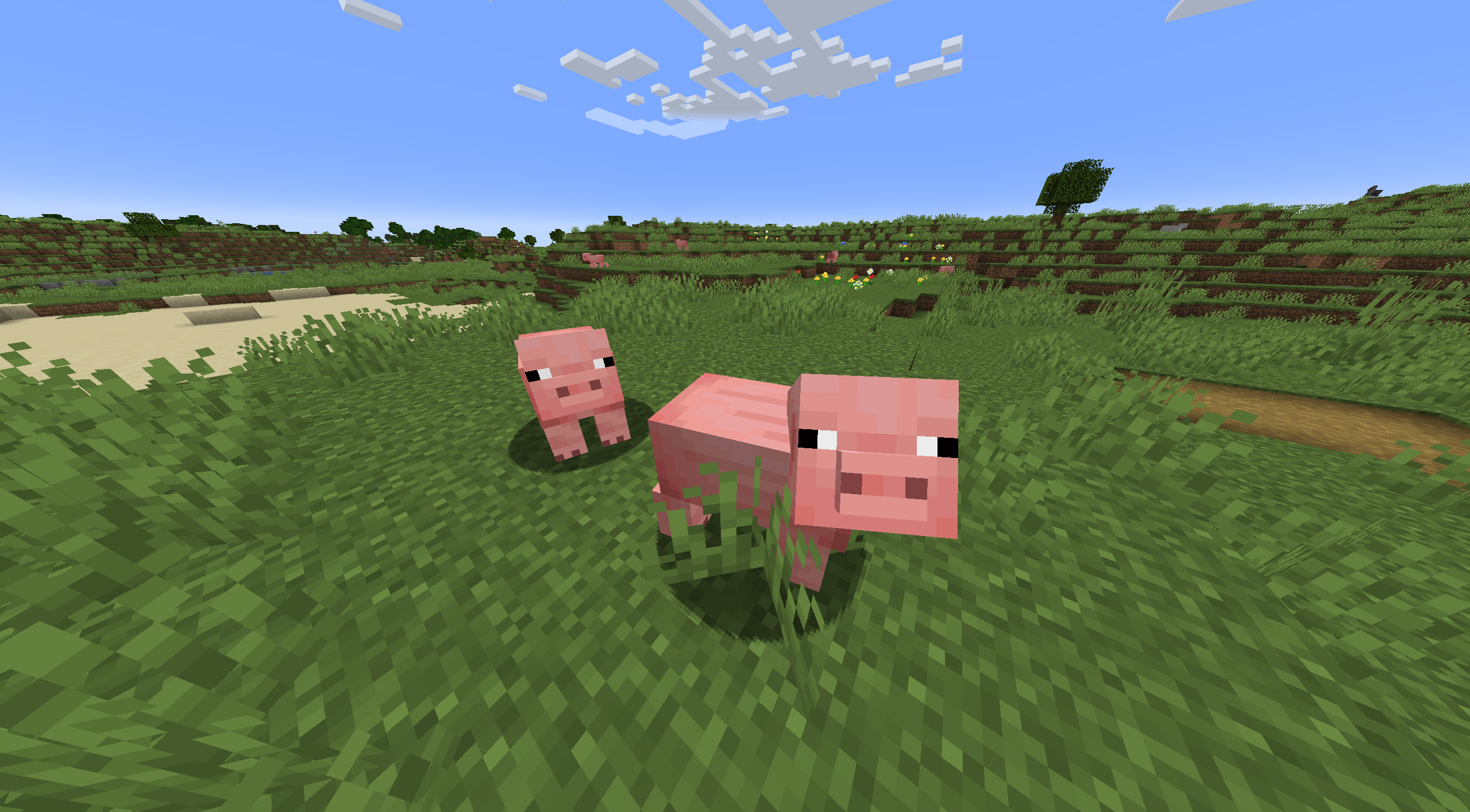 WildCraft 5.1 est disponible